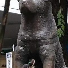 Statue of Hachiko