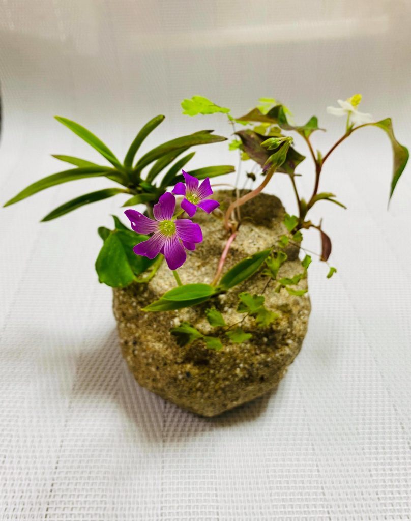 Ikibana