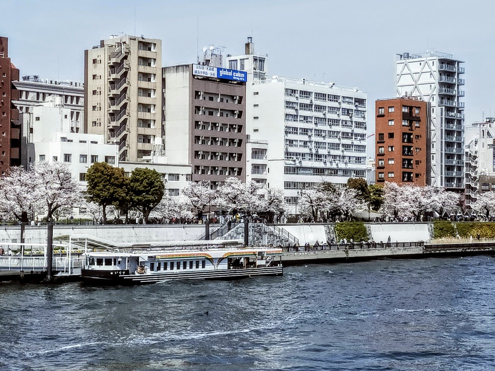 Sumida park 