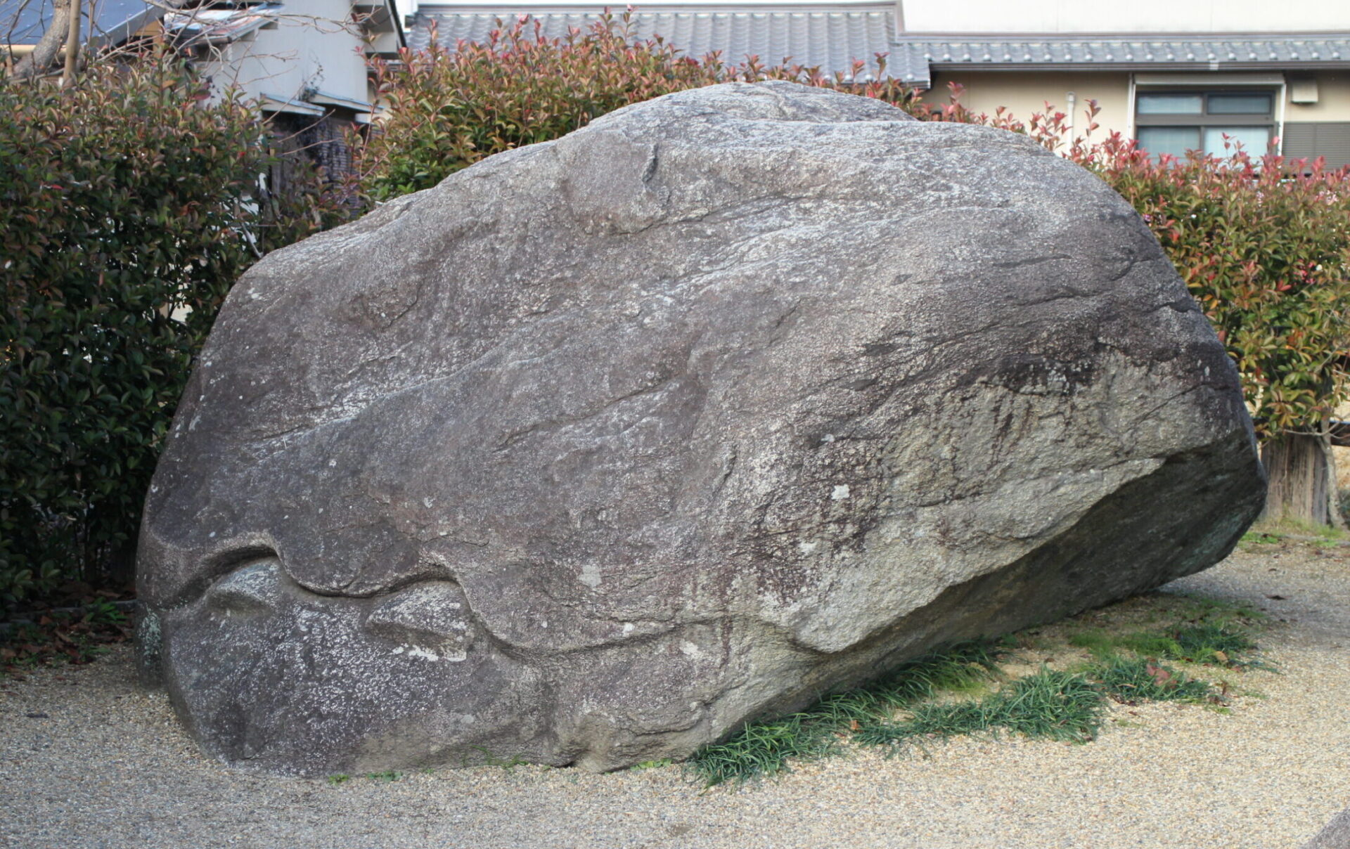 Kameishi Tortoise Stone