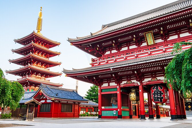 Private Tokyo Tour with Government Licensed Guide & Vehicle (Max 7 persons)
