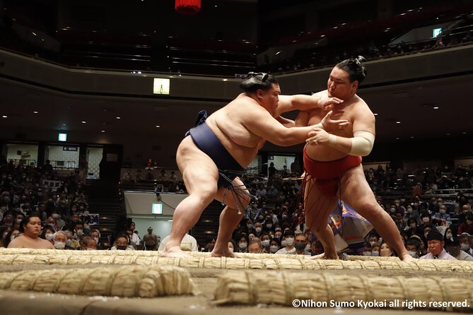 Tokyo Grand Sumo Tournament Viewing Tour