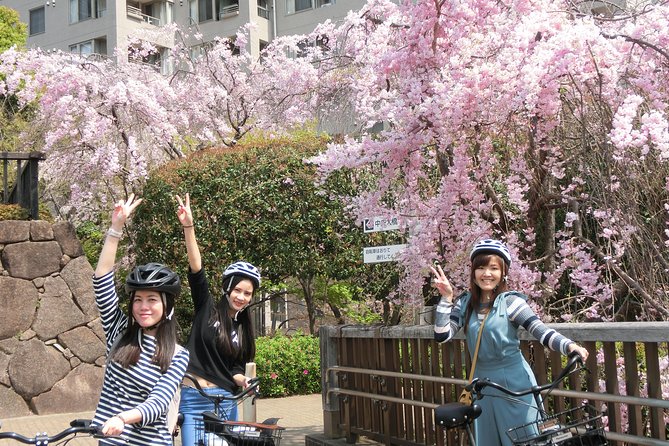 Tokyo Cherry Blossoms blooming spots E-bike 3 hour Tour