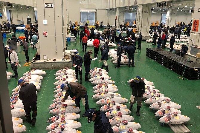 5:00 Toyosu and Tsukiji Morning Market with Gov. Licensed Guide